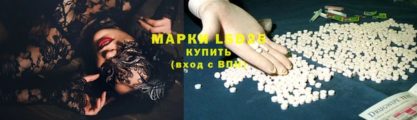 индика Арсеньев