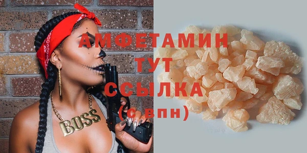 индика Арсеньев