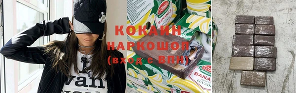 индика Арсеньев