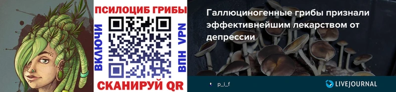 МЕГА tor  магазин продажи наркотиков  Валдай  Псилоцибиновые грибы мухоморы 